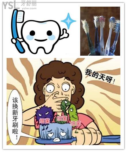 牙医建议多久换一次牙刷 .jpg