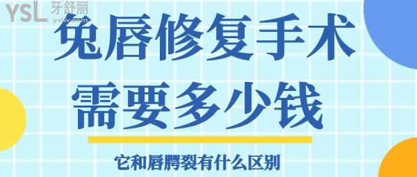 兔唇修复手术需要多少钱 它和唇腭裂有什么区别