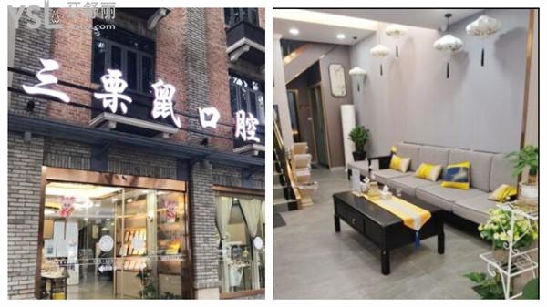 三栗鼠口腔环境图片