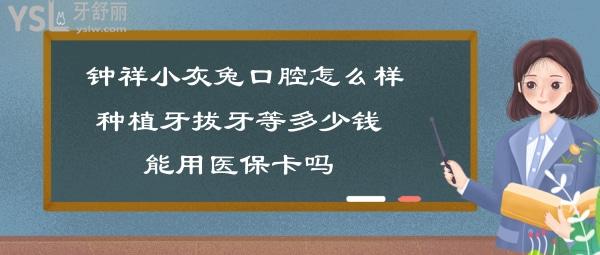 钟祥小灰兔口腔如何