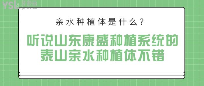 亲水种植体是什么，山东康盛种植系统的泰山亲水种植体