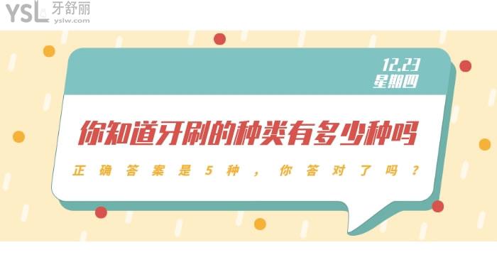 牙刷的种类有多少种