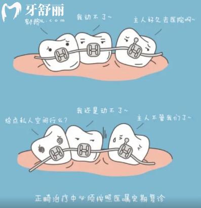 慈恩齿科白小洁医生