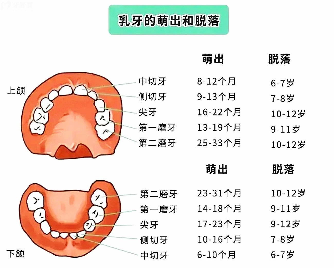 五岁半换牙正常吗图片