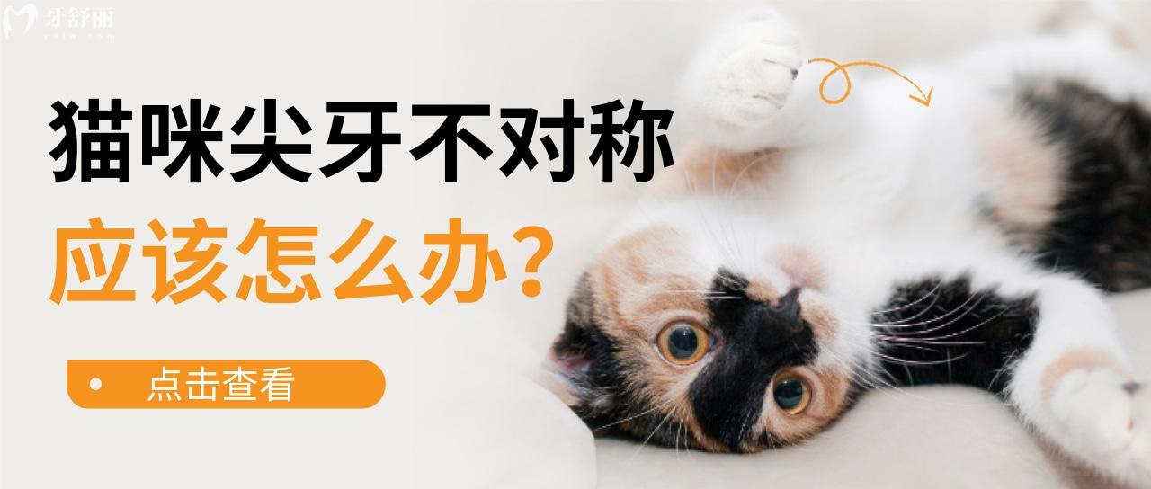 猫咪的牙齿为什么有的是两个尖牙,有的是一个呢