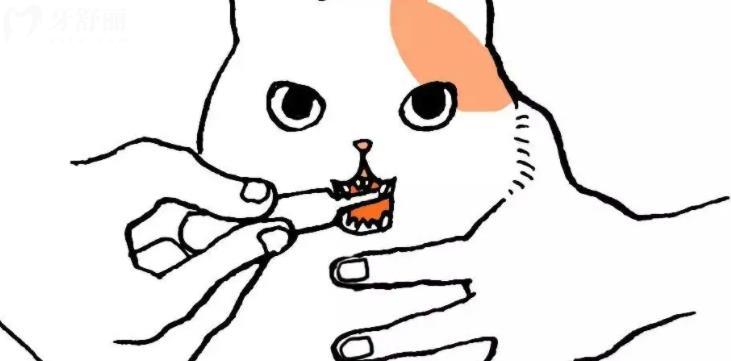 猫咪的牙齿为什么有的是两个尖牙,有的是一个呢
