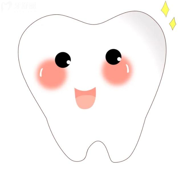 人的牙齿分为几种牙图解图片