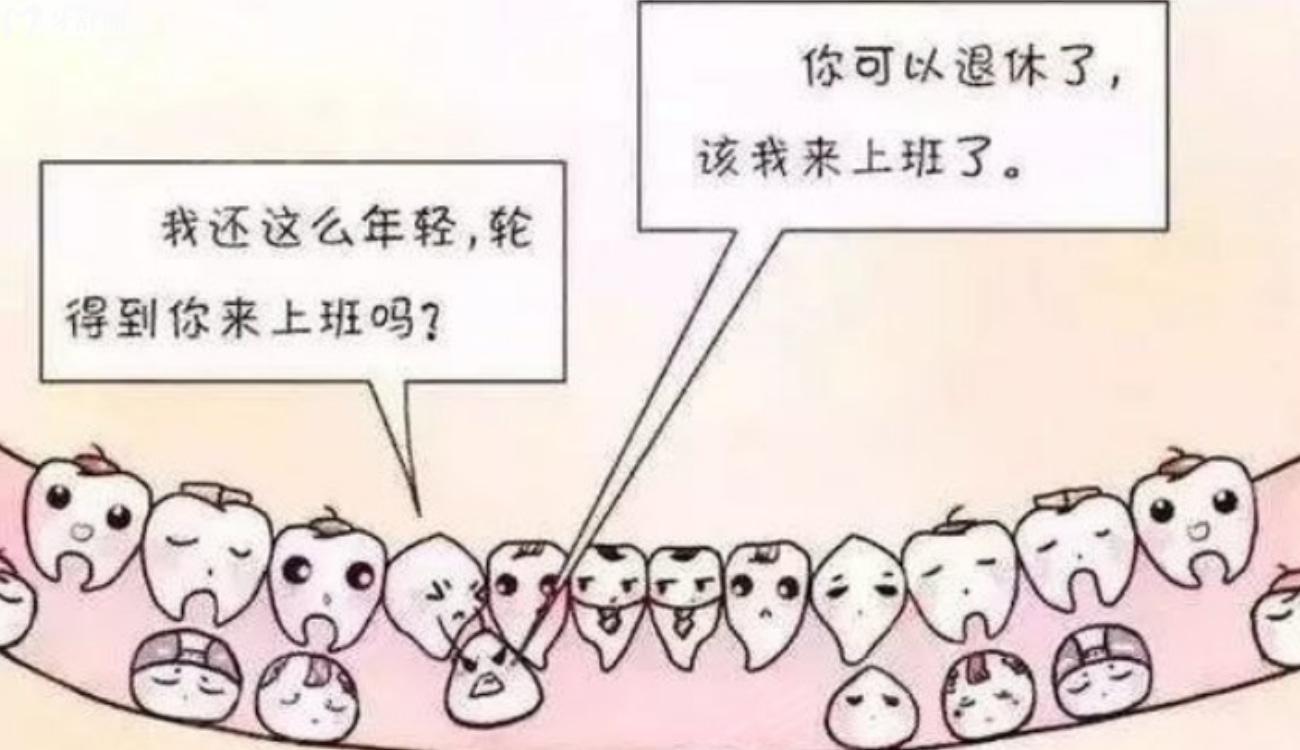 儿童双排牙要立刻拔吗.jpg 儿童双排牙要立刻拔吗.jpg