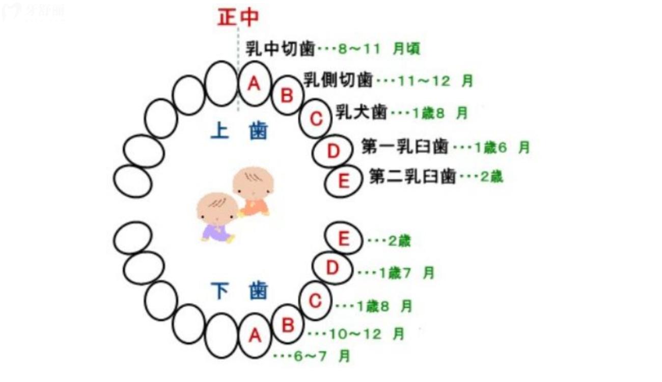 儿童双排牙要立刻拔吗.jpg 儿童双排牙要立刻拔吗.jpg
