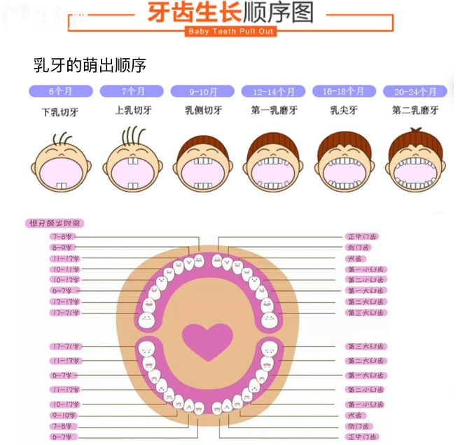 辟谣传闻中的正畸误区 但你解开牙齿矫正的真相 辟谣传闻中的正畸误区 但你解开牙齿矫正的真相