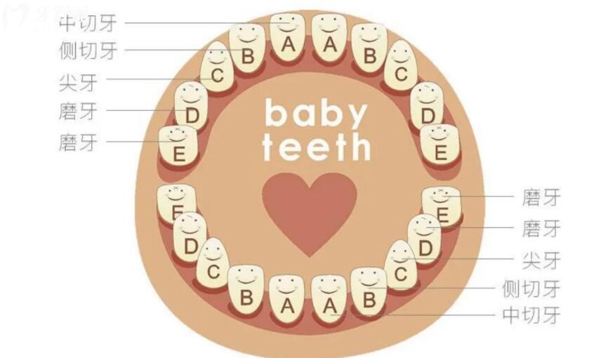 幼儿应该如何保护牙齿 幼儿应该如何保护牙齿