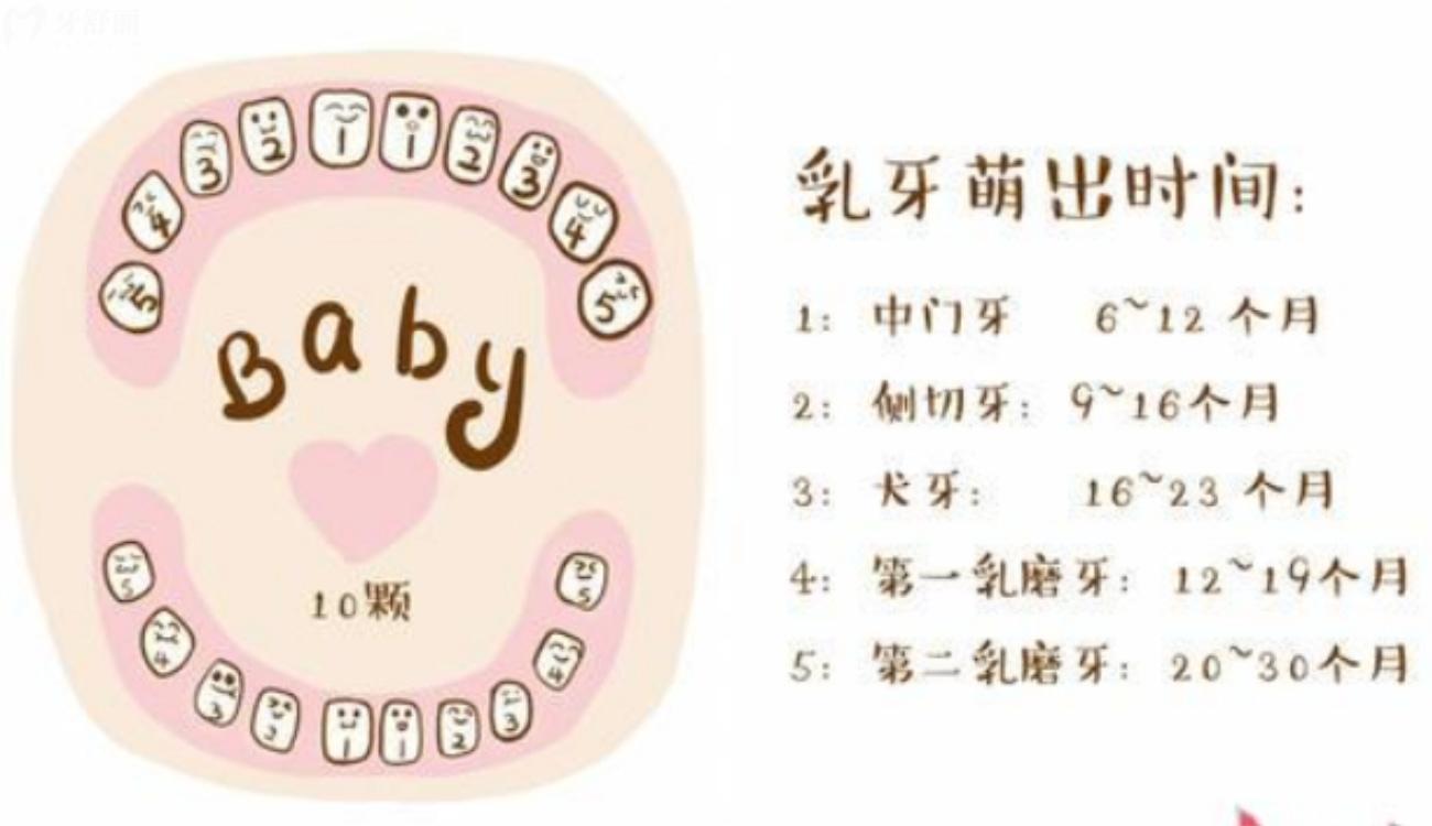孩子十个月不长牙是为什么.jpg 孩子十个月不长牙是为什么.jpg