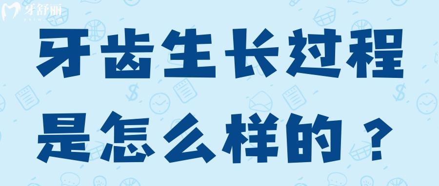 揭秘伴随人一生牙齿的生长过程是怎么样的? 揭秘伴随人一生牙齿的生长过程是怎么样的?