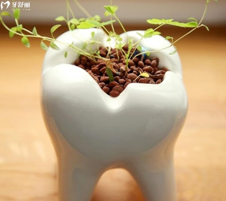 虫牙怎么治 虫牙怎么治