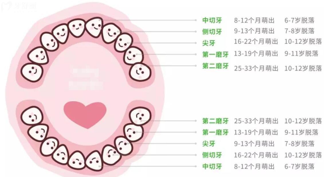 宝宝乳牙萌出的顺序及时间 宝宝乳牙萌出的顺序及时间