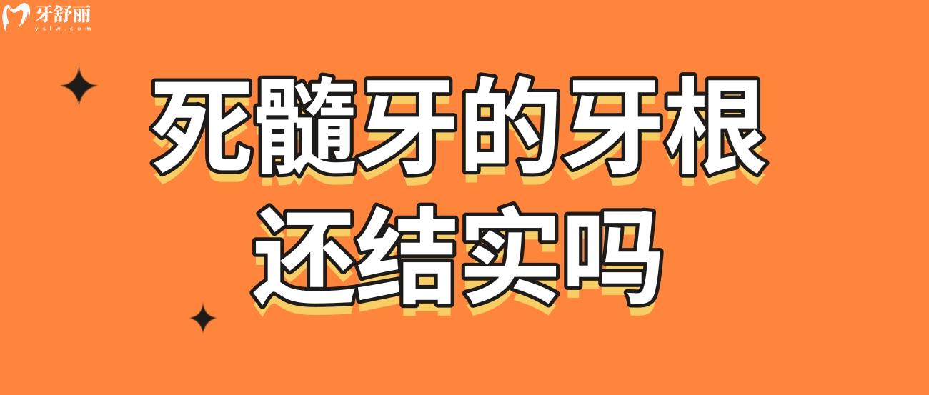 死髓牙的牙根还结实吗.jpg