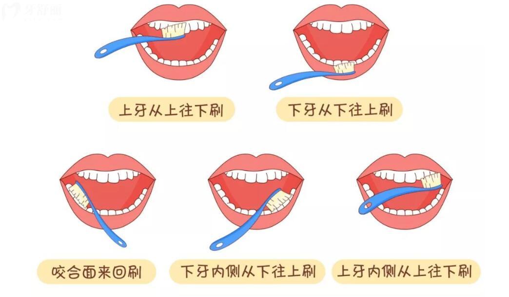 正确的刷牙流程