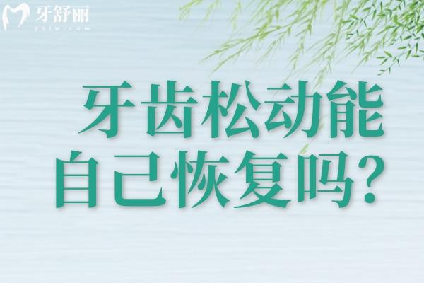 牙齿松动能自己长好吗？