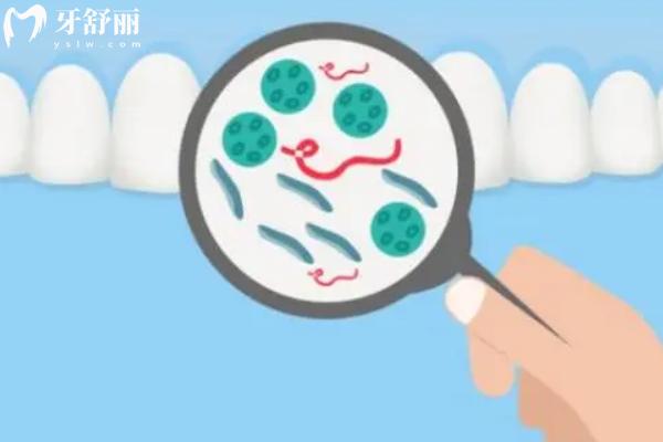 口腔有益菌多还是有害菌多？