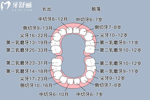 孩子换牙期间需要补钙吗