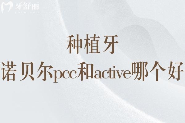 诺贝尔pcc和active哪个好 详细区别就在不同设计/适用人群及价格差异