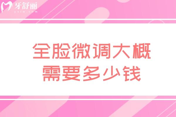全脸微调大概需要多少钱