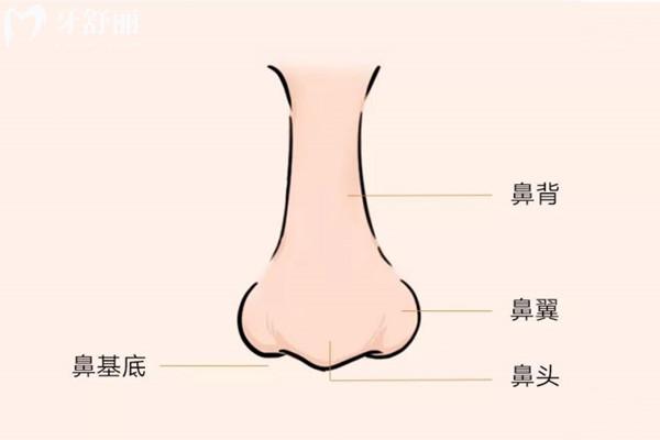 上海直鼻做得好的医生排名榜