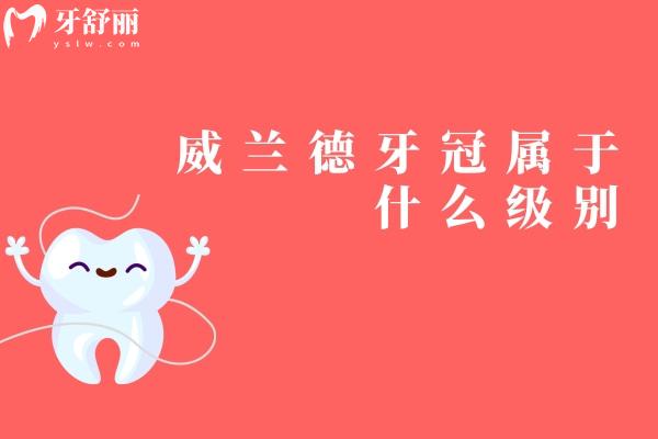 威兰德牙冠属于什么级别