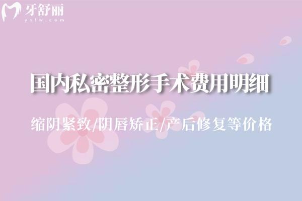 国内私密整形手术费用明细:缩阴紧致/阴唇矫正/产后修复等价格全附口碑医院名单