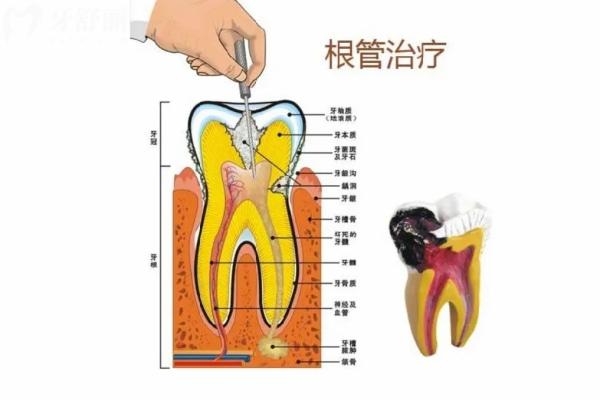 2025宁波口腔医院价目表:当地人评价实惠正规的牙科及价格表快收好