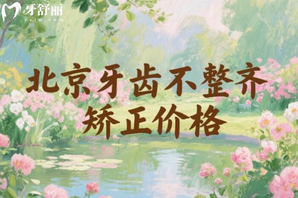 北京牙齿不整齐矫正价格多少钱