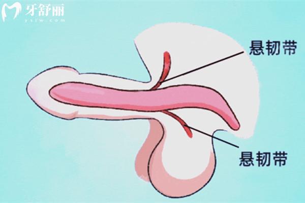 重庆李世荣做阴茎延长增粗术多少钱？