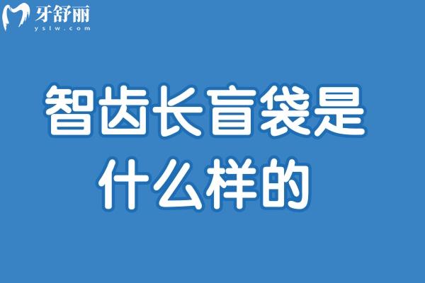 智齿长盲袋是什么样的