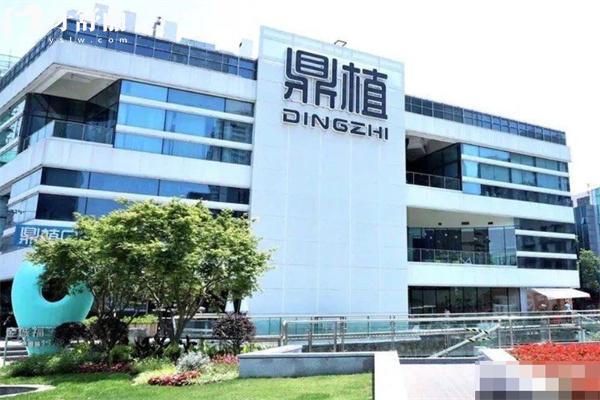 2025上海鼎植口腔医院收费标准:对比黎强/米域/九福等5家分院哪家价格便宜