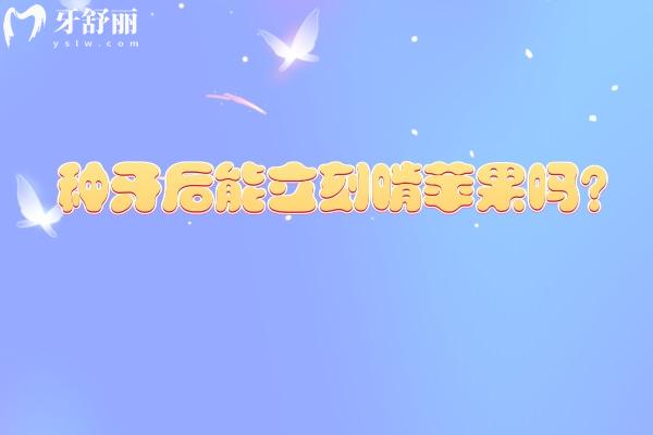 种牙后能立刻啃苹果吗?不能,分享关于种植牙承重能力的真相 种牙后能立刻啃苹果吗?不能,分享关于种植牙承重能力的真相