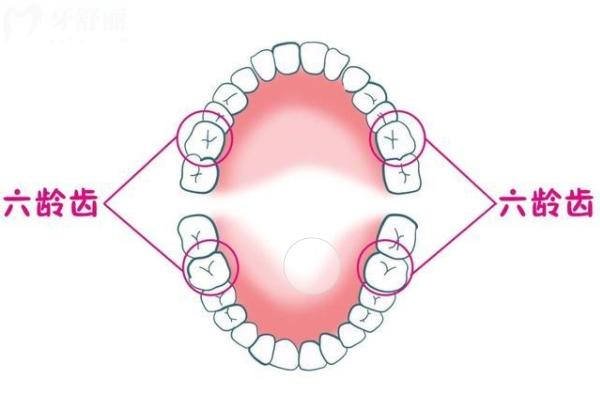 济南众牙口腔医院价格表2026