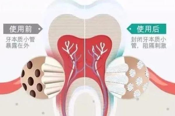 淄川哪里看牙比较好?