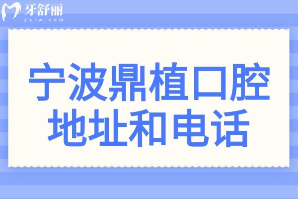 一键收藏!宁波鼎植口腔地址和电话:江北(总院)/鄞州分院营业时间与路线全解析