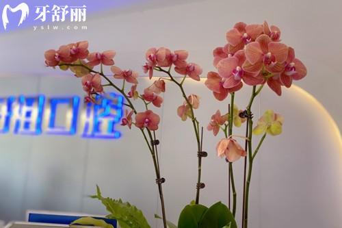 长沙牙祖口腔医院价格表26年新版，种牙2000+矫正7000+补牙120+等