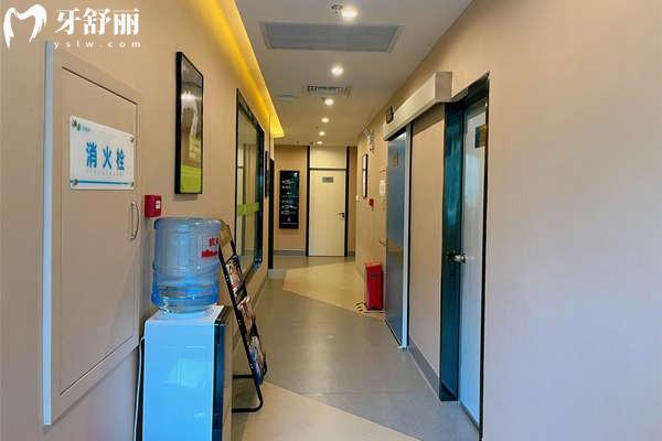 江门松鼠口腔环境