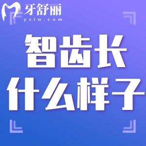 必须拔掉的智齿图快来看看!牙龈肿痛怎么快速消肿
