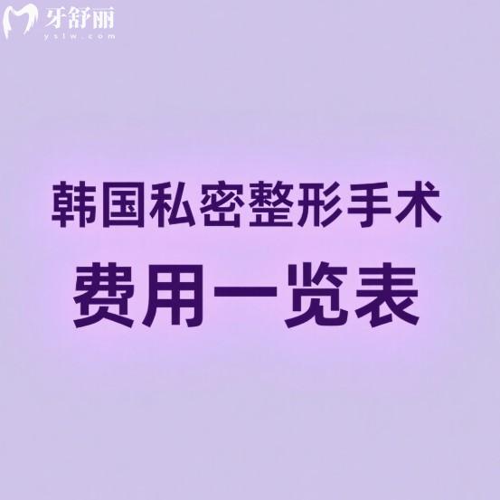 2025韩国私密整形手术费用一览表:好手艺/如妍/丽姿是韩国私密整形人气高的医院