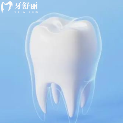 纯钛牙冠和全瓷牙冠哪个耐用?从优缺点/寿命/价格多方位揭晓