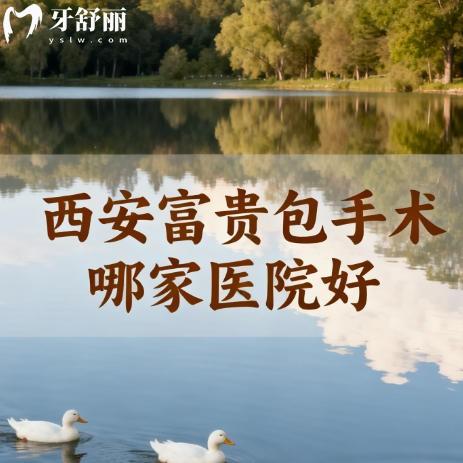 西安富贵包手术哪家医院好?盘点技术强的口碑价格透明榜单